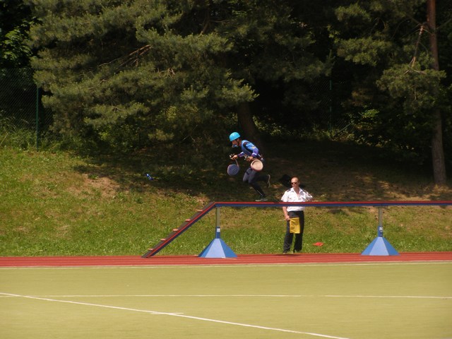 mini-p6040099