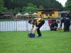 mini-0-038