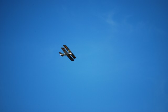 mini-dsc-333
