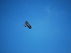 mini-dsc-333