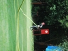 mini-0-204